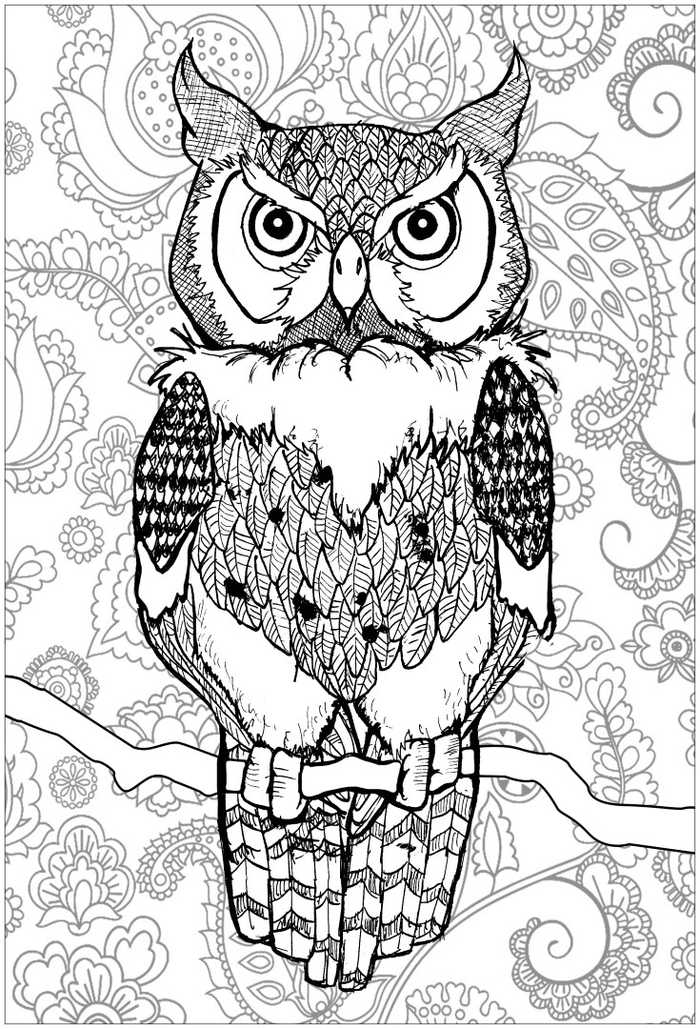 Wise Owl Coloring Page