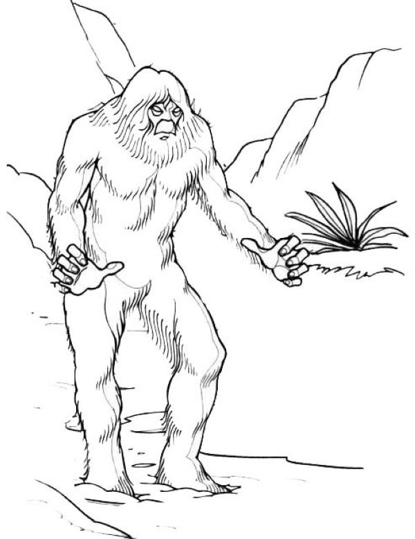 Yeti Star Wars Coloring Page