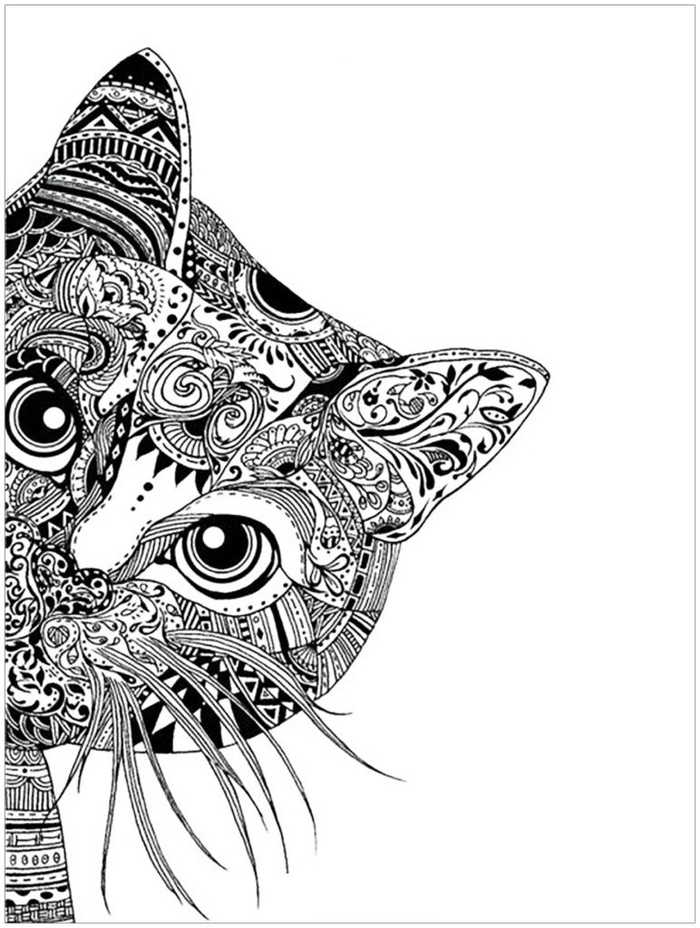 Zen Cat Peeking Coloring Page For Adults