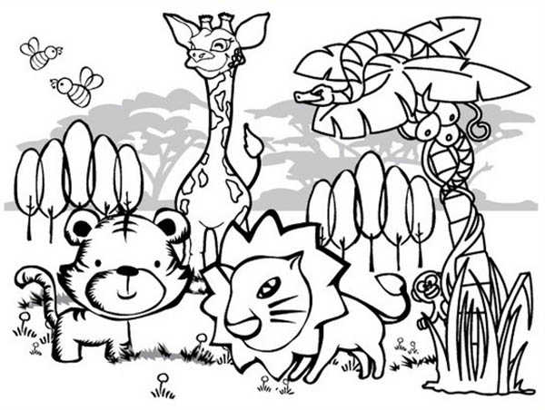 Zoo Animal Coloring Pages