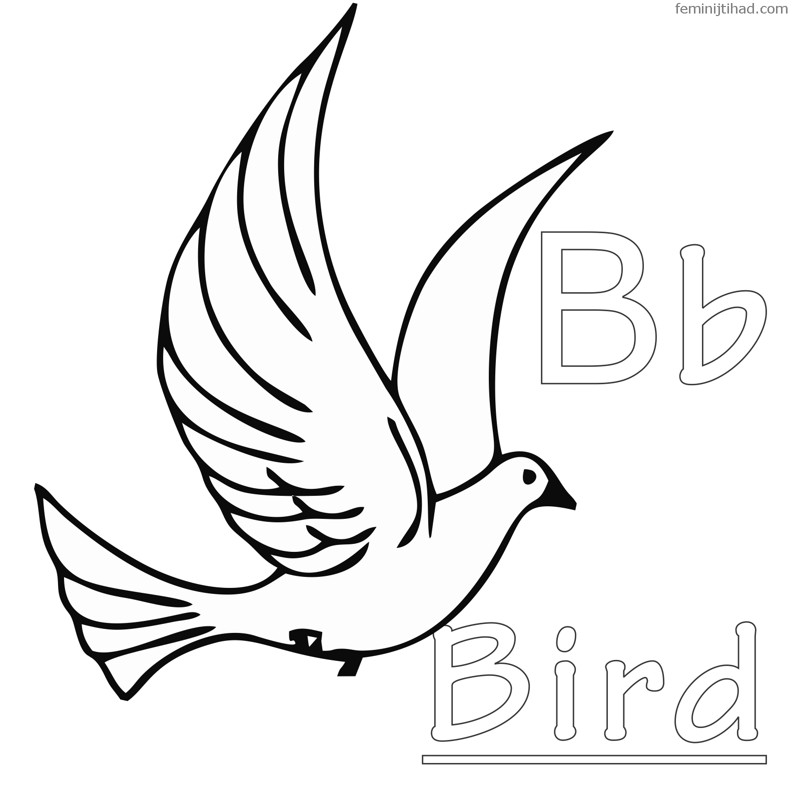 a bird coloring page