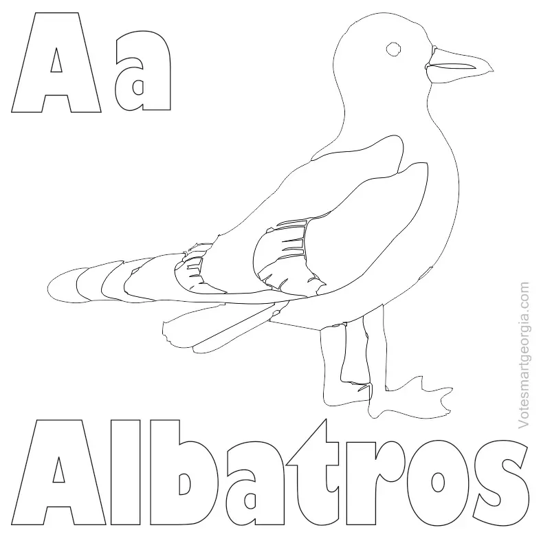 albatross coloring pages free to color