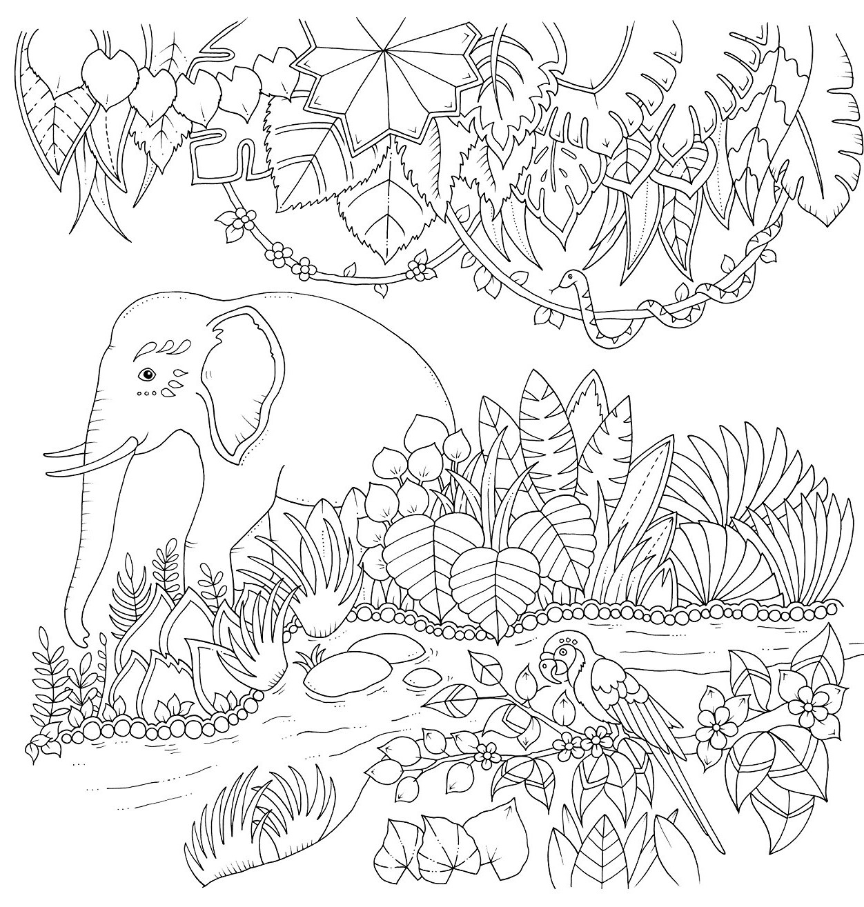 jungle printable coloring pages