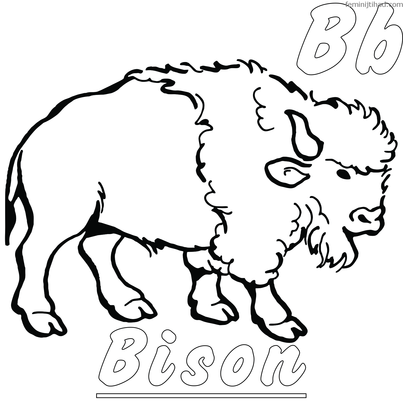 american bison coloring page