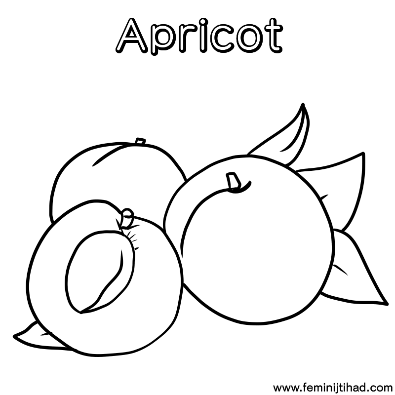 apricot coloring page