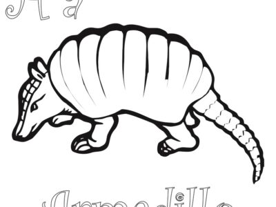 armadillo coloring pages to print