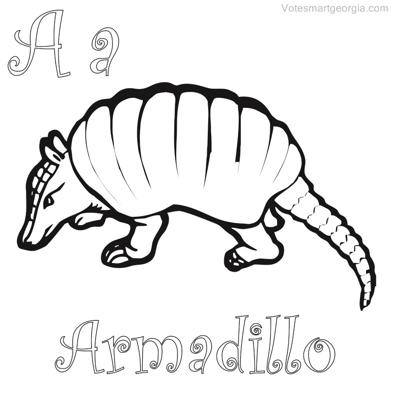 armadillo coloring pages to print