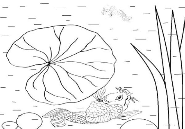 awesome lily pad coloring page free