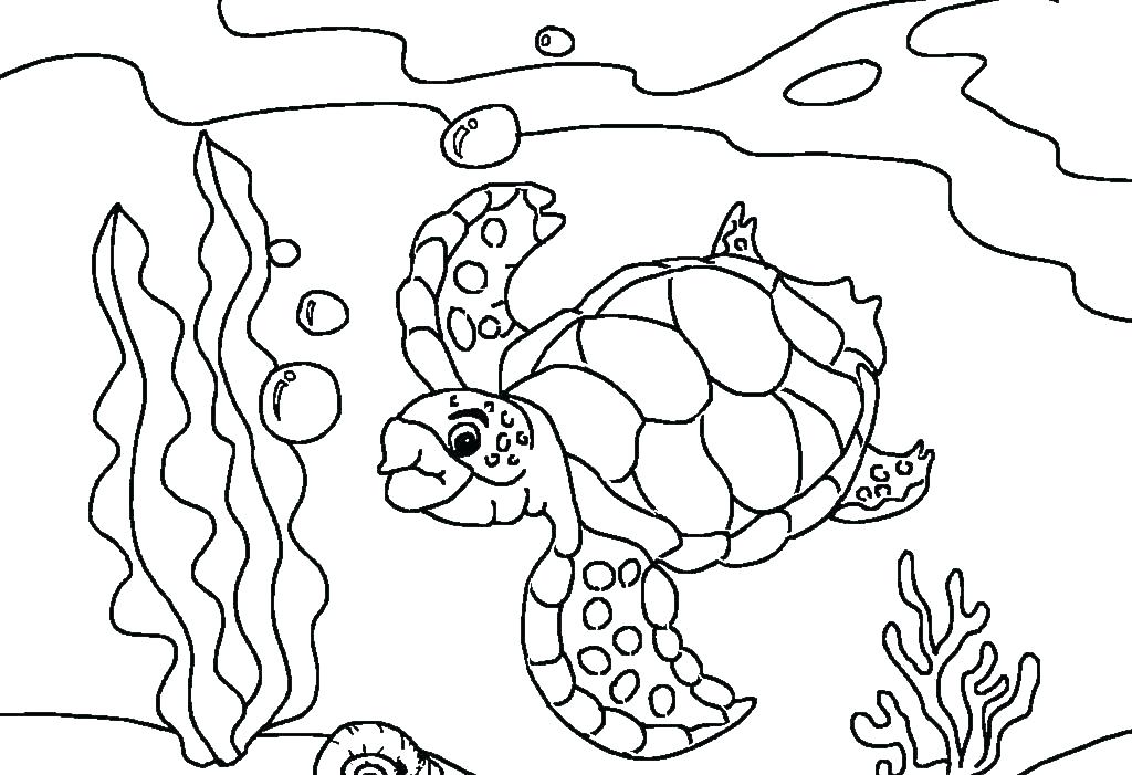 baby sea turtle coloring pages