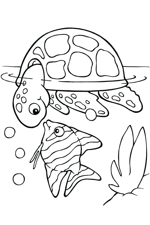 baby turtle coloring pages