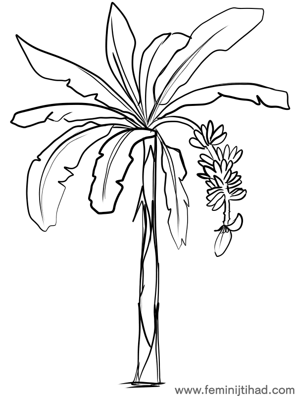 banana tree coloring page