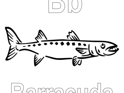 barracuda fish coloring page