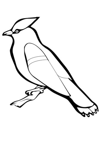 bird coloring pages printable