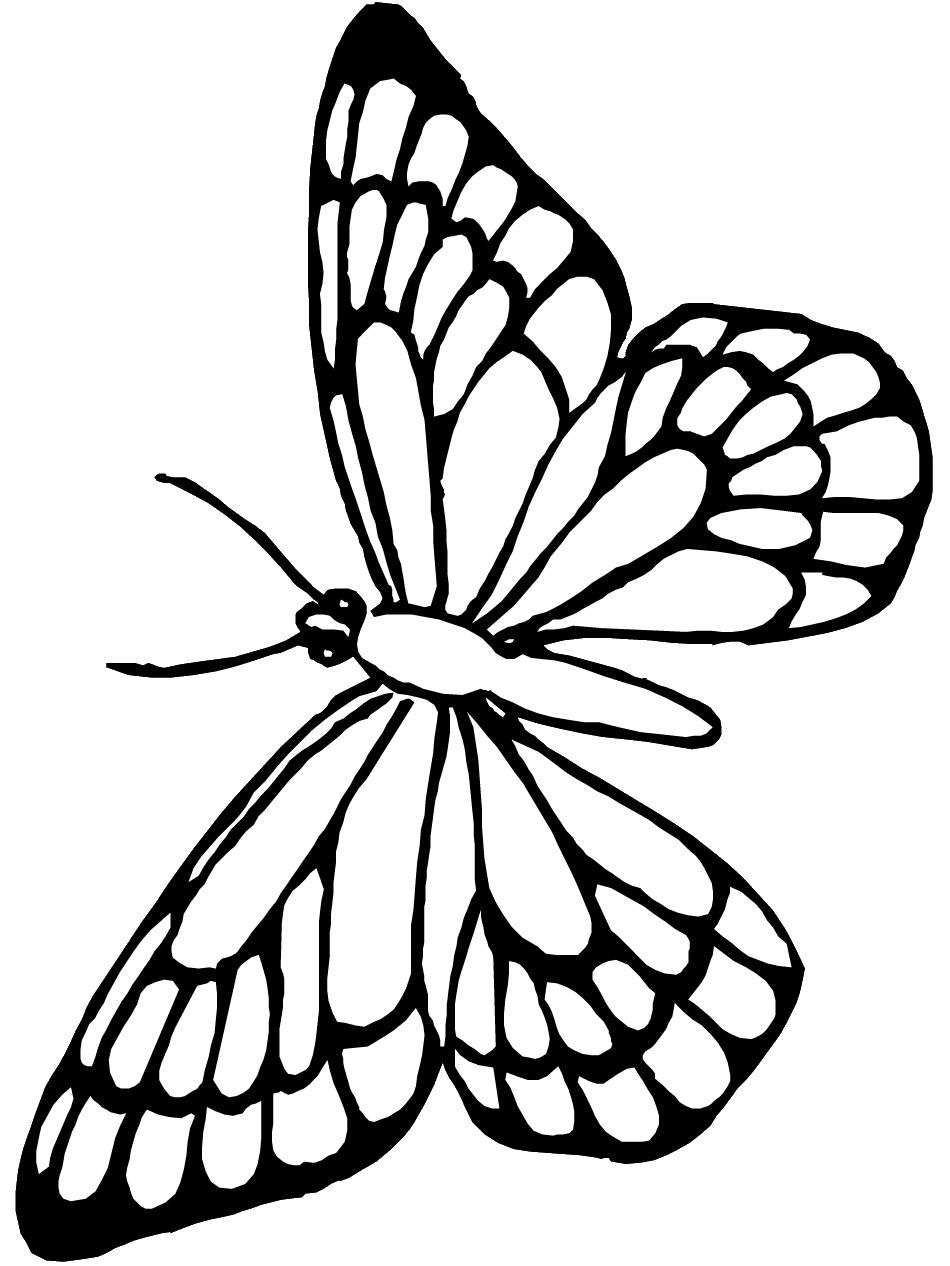 butterfly coloring pages free