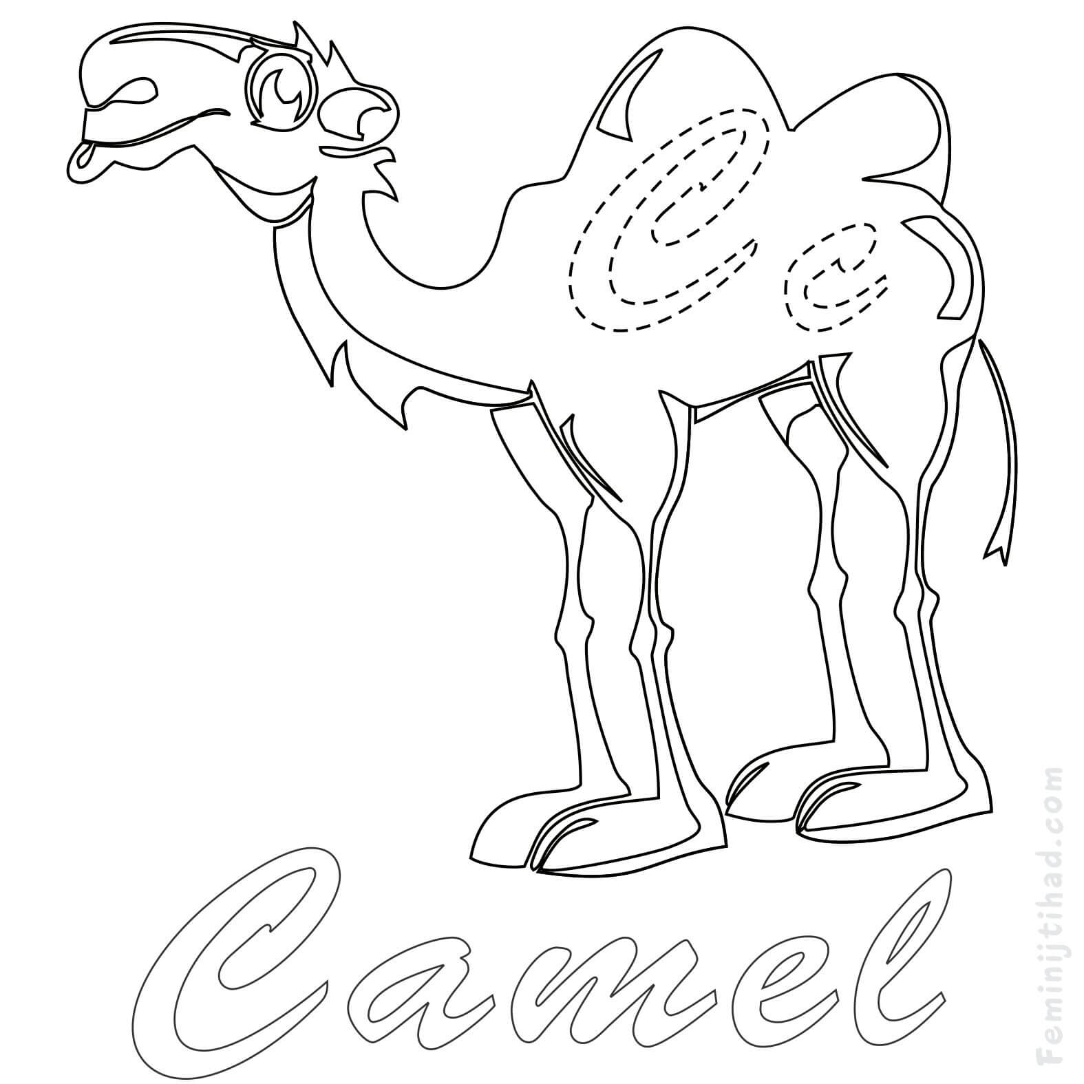 camel coloring pages printable