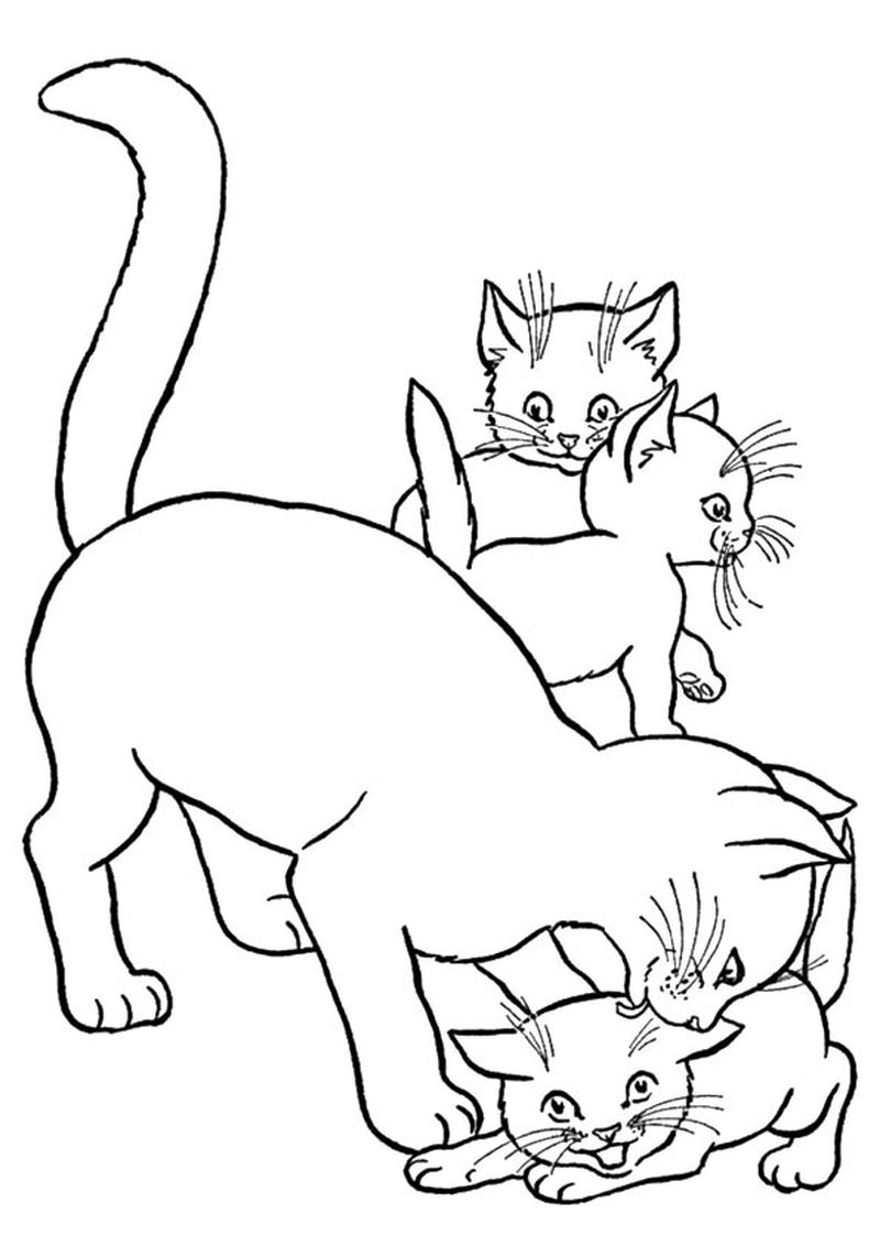 cat with kittens coloring page