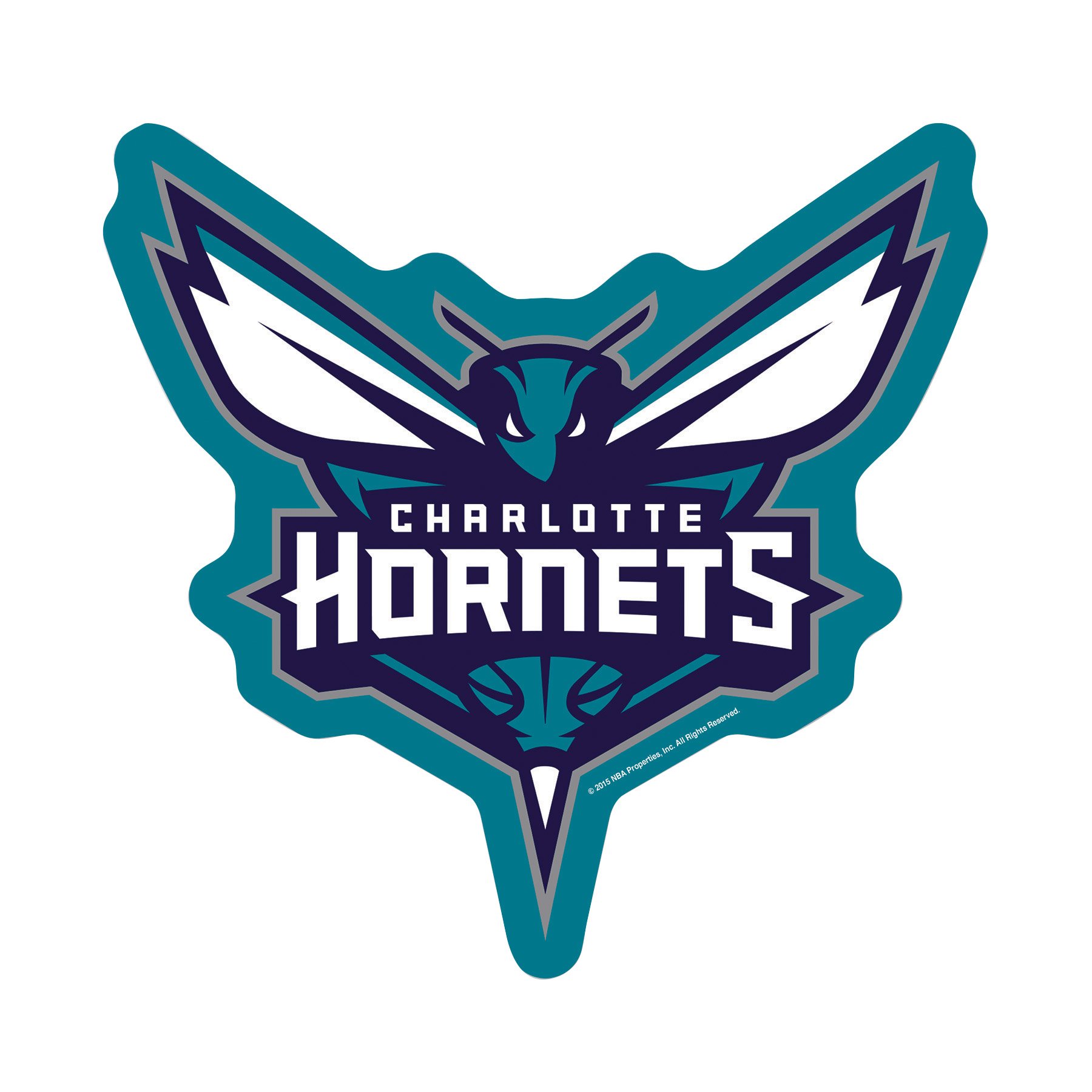 charlotte hornets