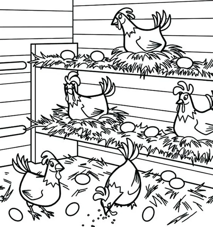 chicken coloring pages