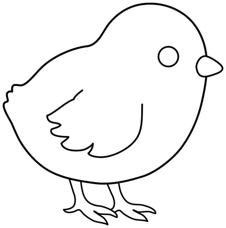 coloring pages chicken