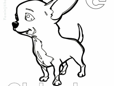 chihuahua coloring pages print