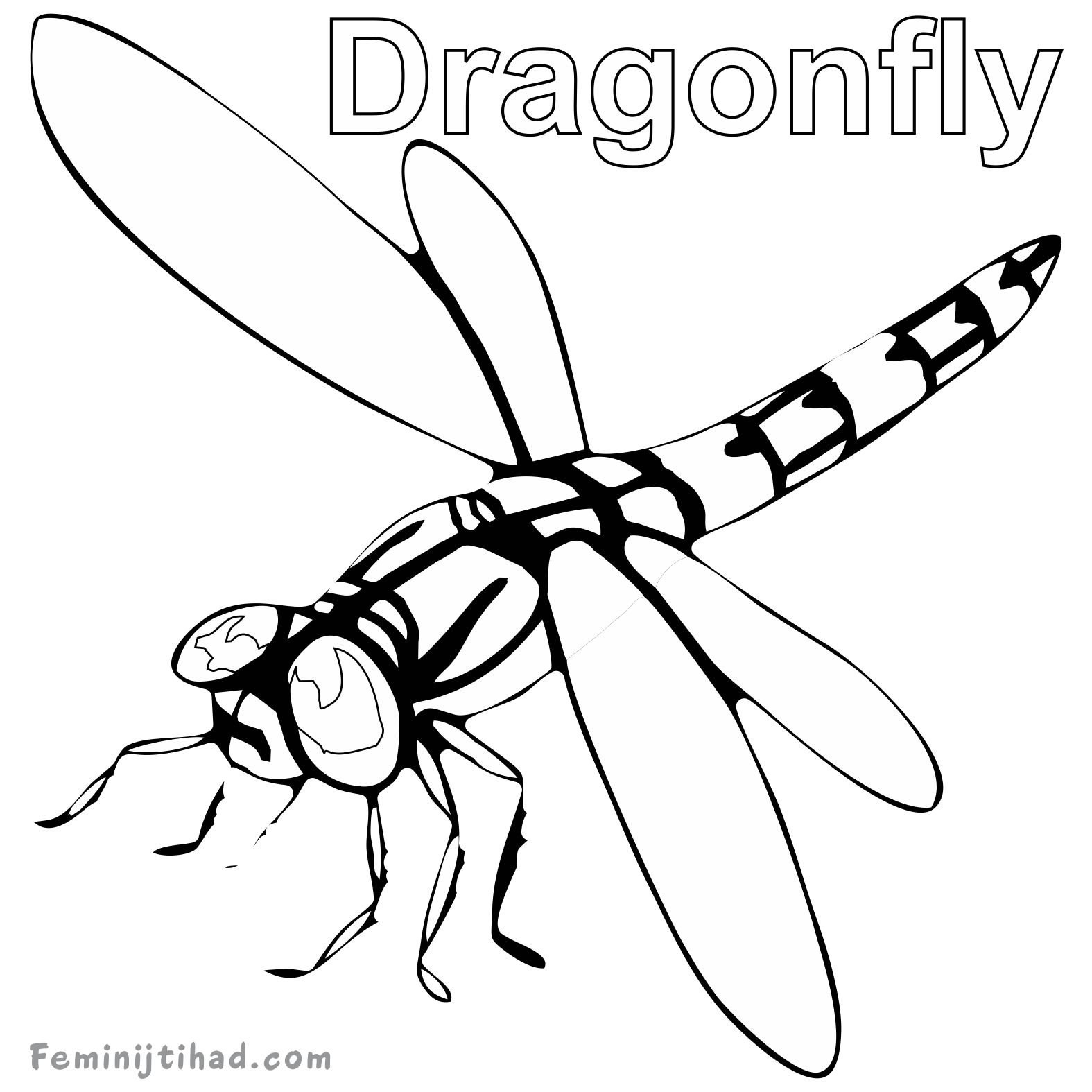 coloring page of a dragonfly