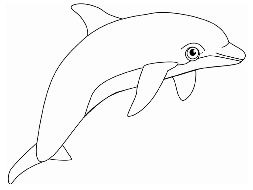 coloring pages dolphin