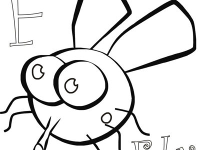 coloring pages of a fly