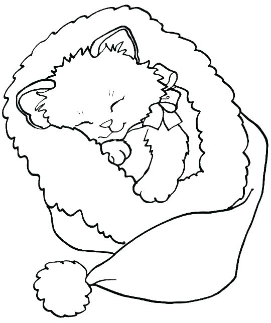 coloring pages of cat