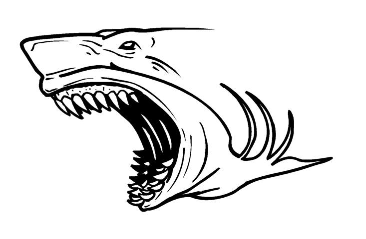 coloring pages shark