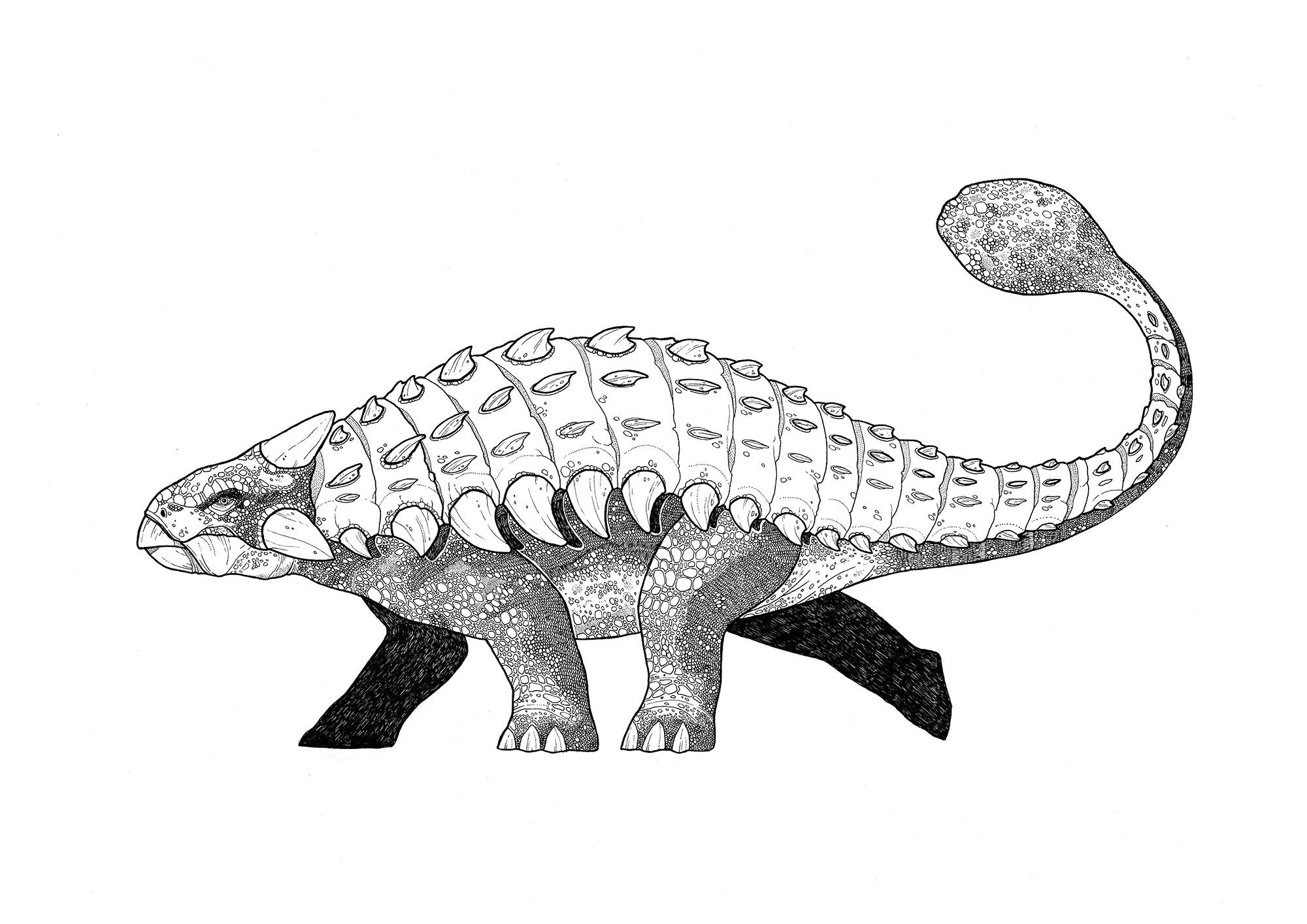 ankylosaurus coloring pages to print