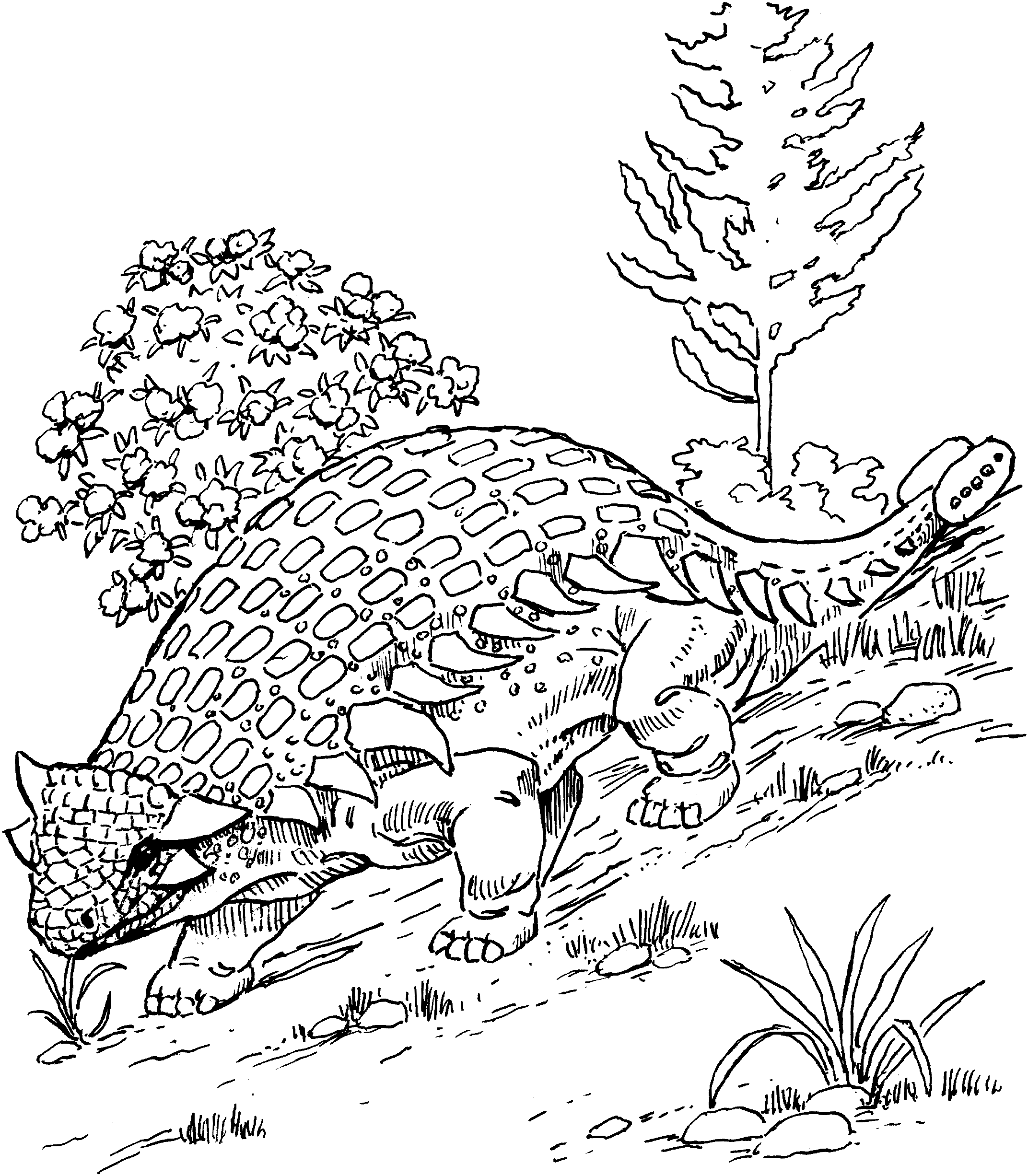 ankylosaurus coloring pages