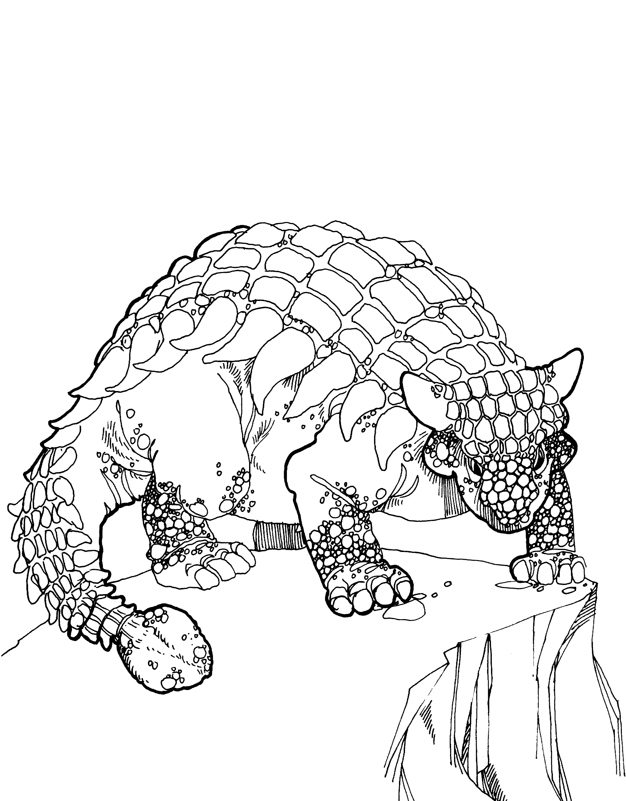 ankylosaurus printable coloring pages