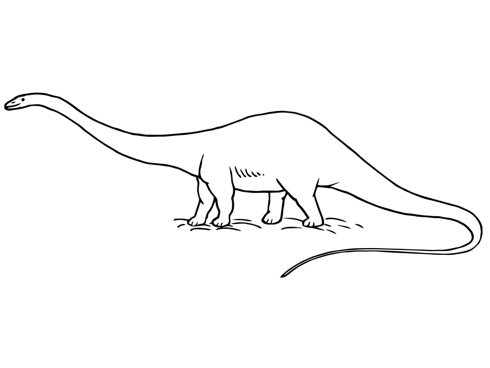 coloring pages diplodocus