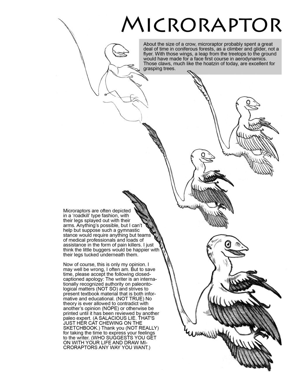 printable microraptor coloring pages