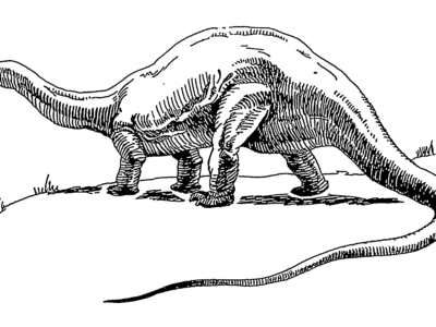 realistic apatosaurus coloring pages