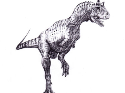 realistic carnotaurus coloring pages