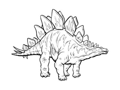 printable coloring pages of stegosaurus