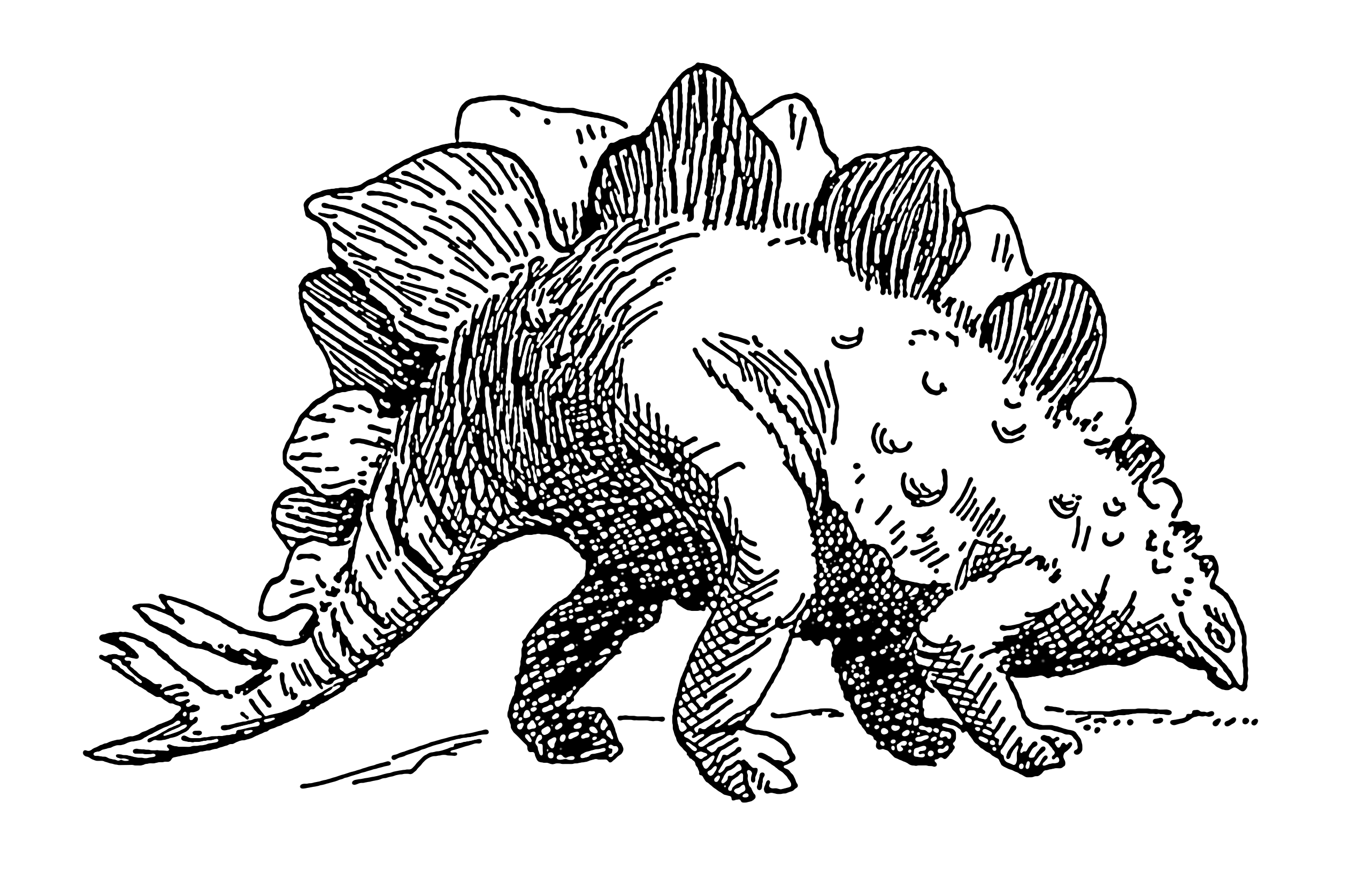 stegosaurus coloring pages