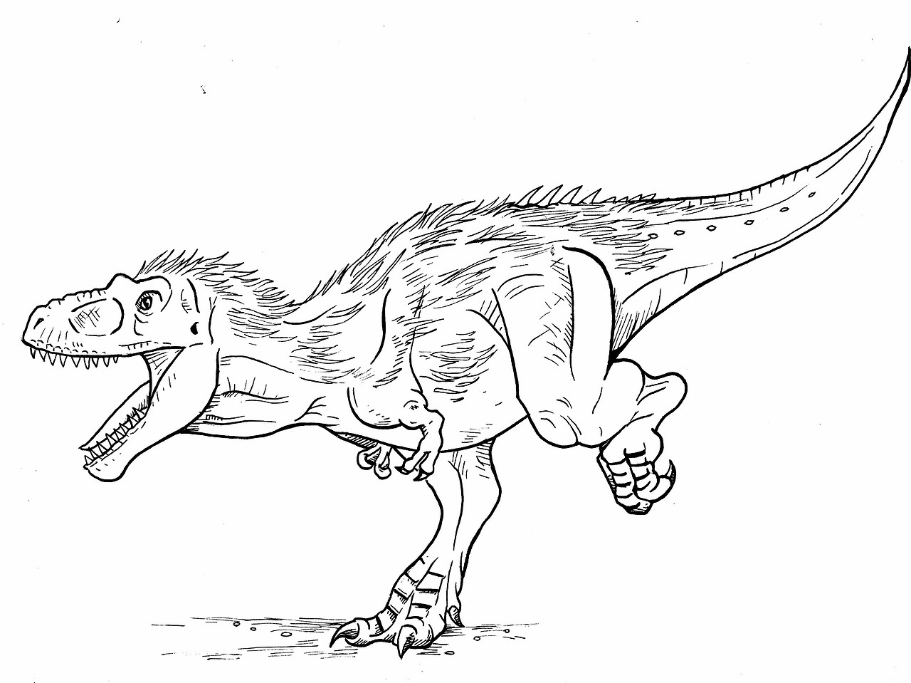 coloring pages albertosaurus