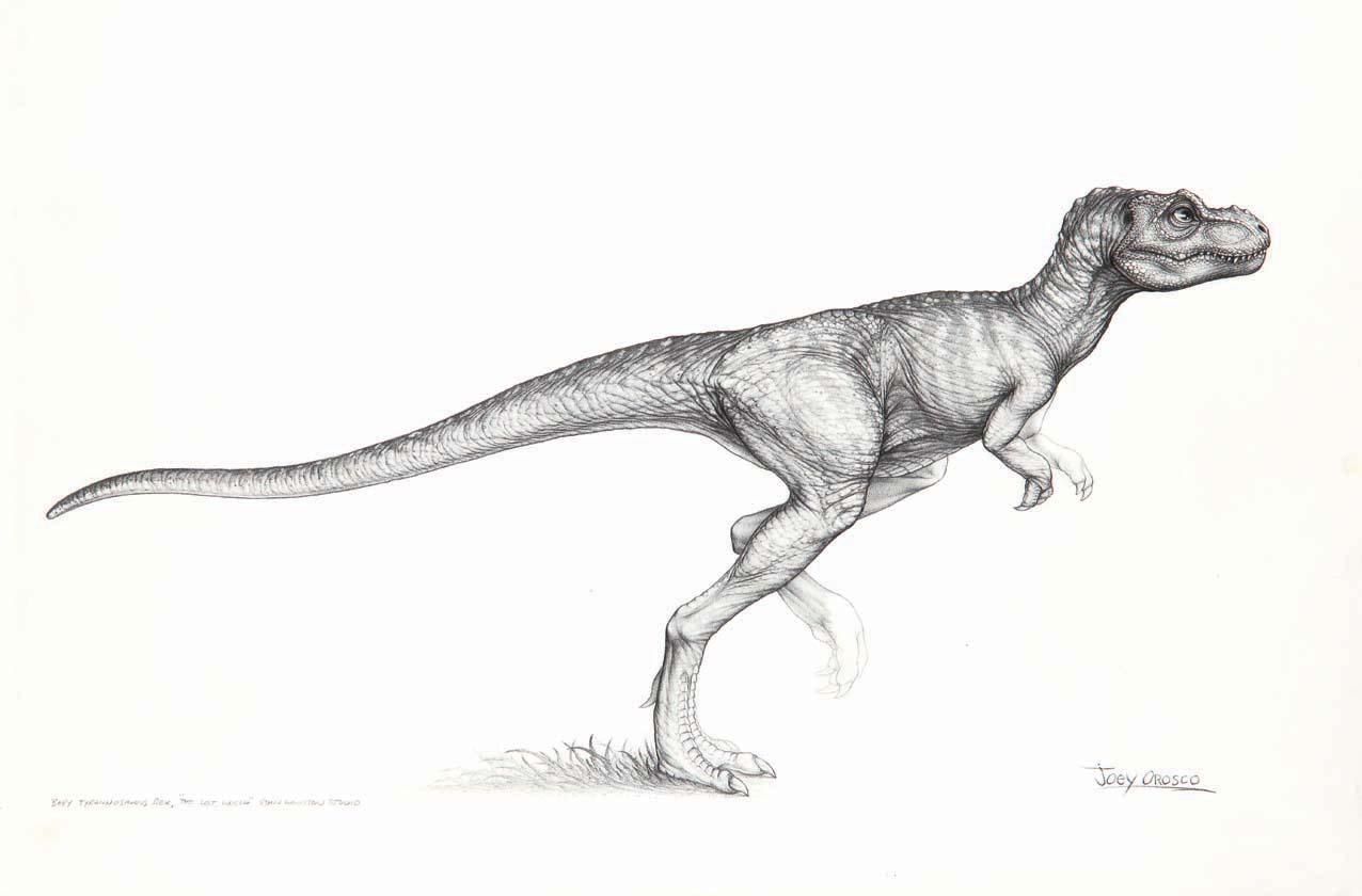 free albertosaurus coloring pages