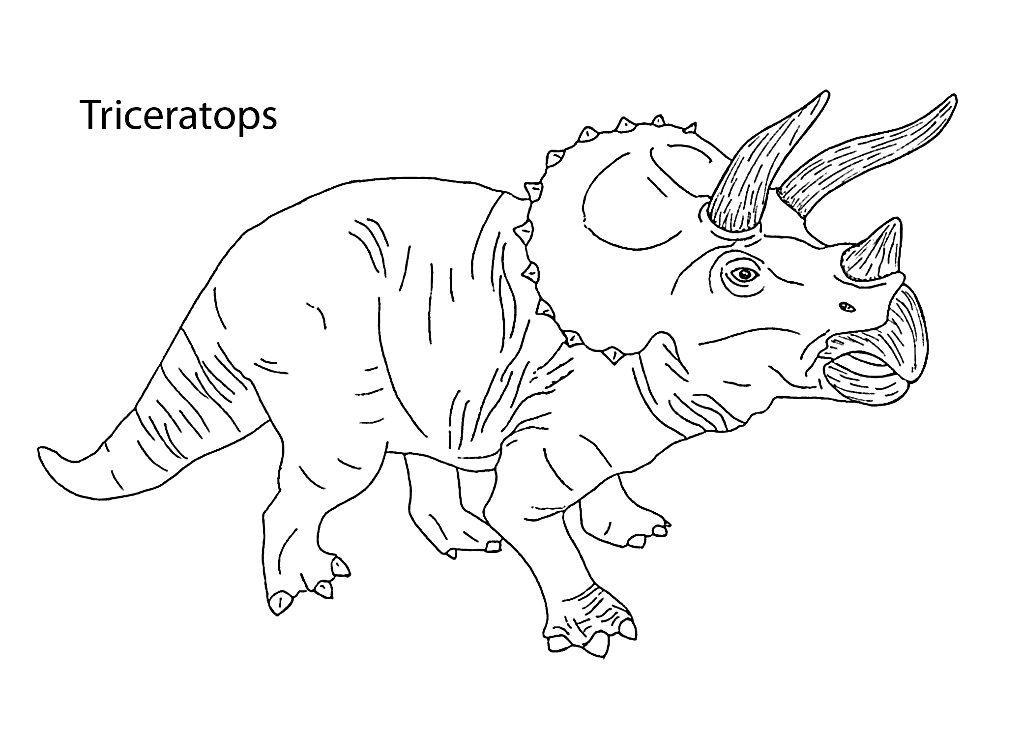 triceratops coloring pages to print