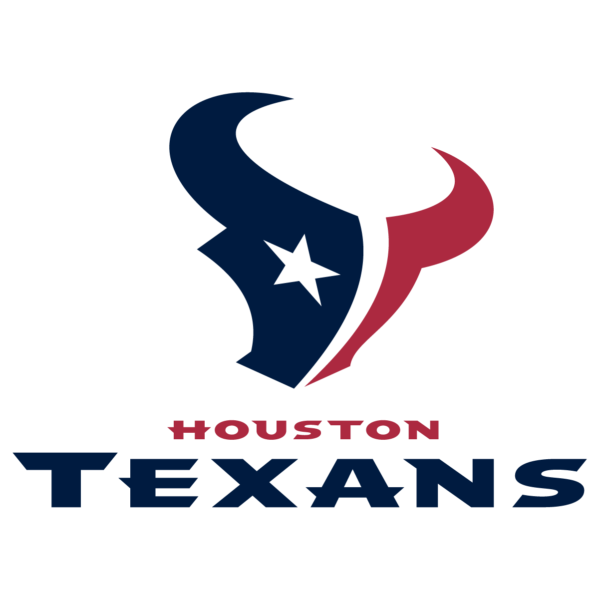 houston texans