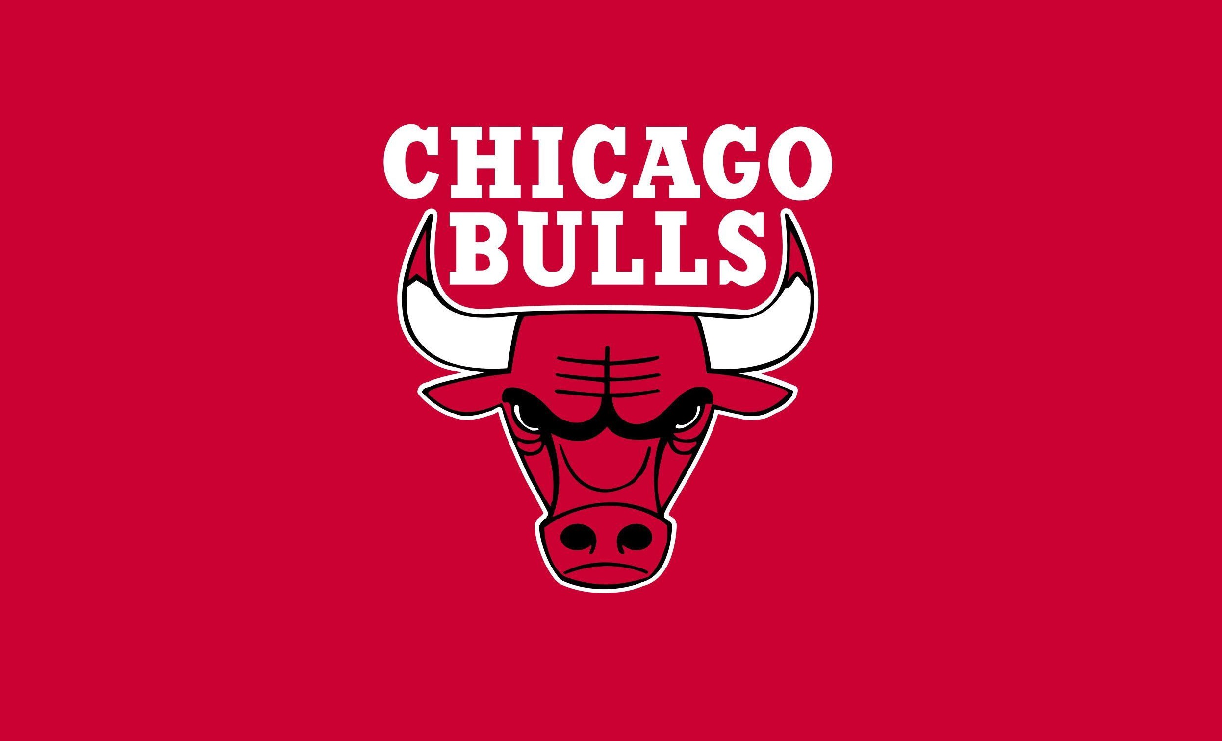 chicago bulls