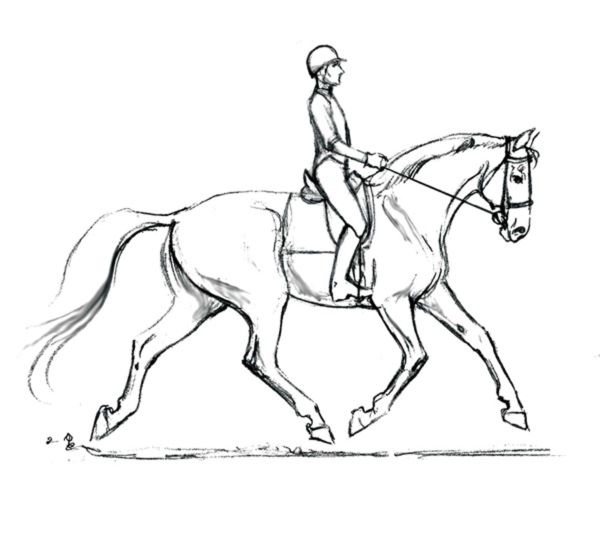 coloring pages dressage