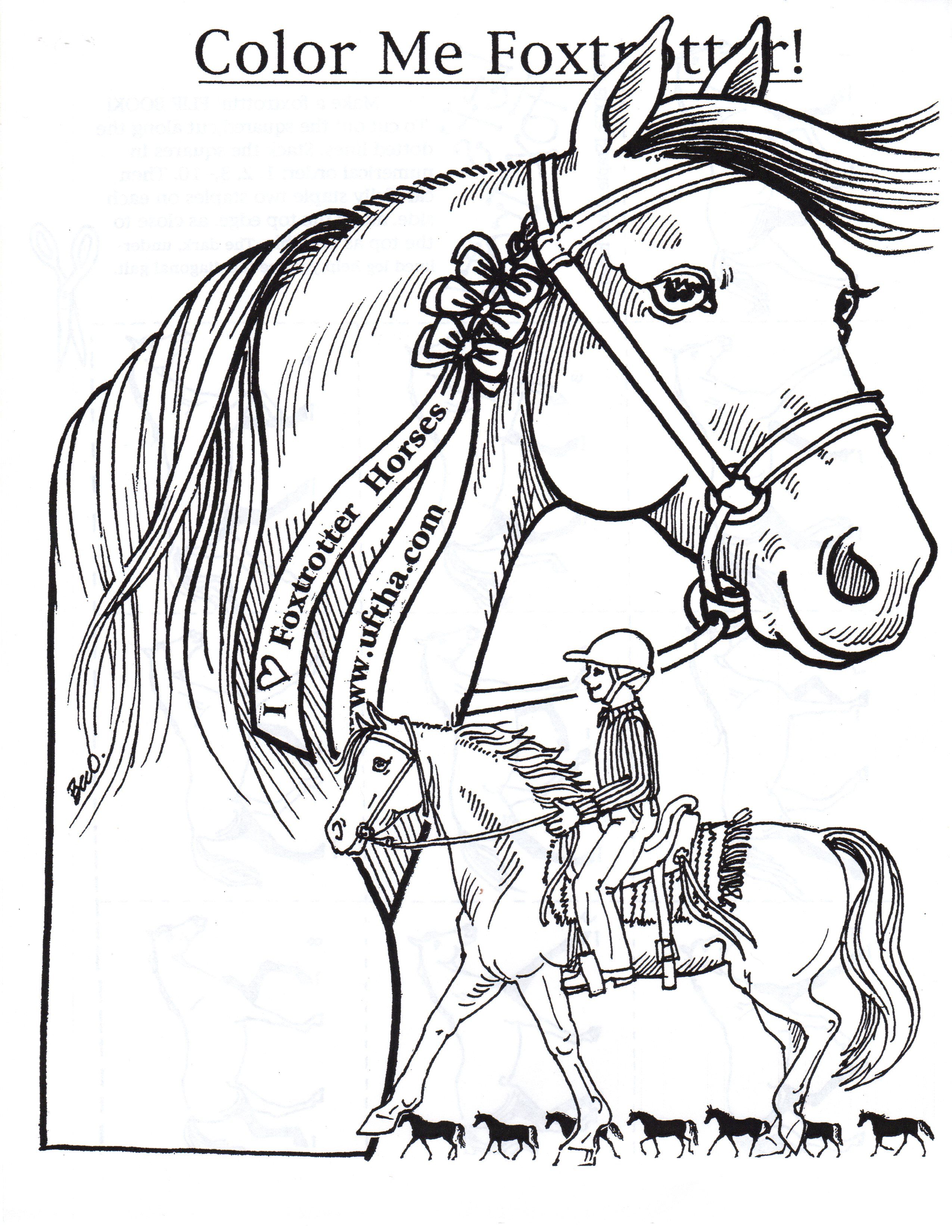 horse dressage coloring pages