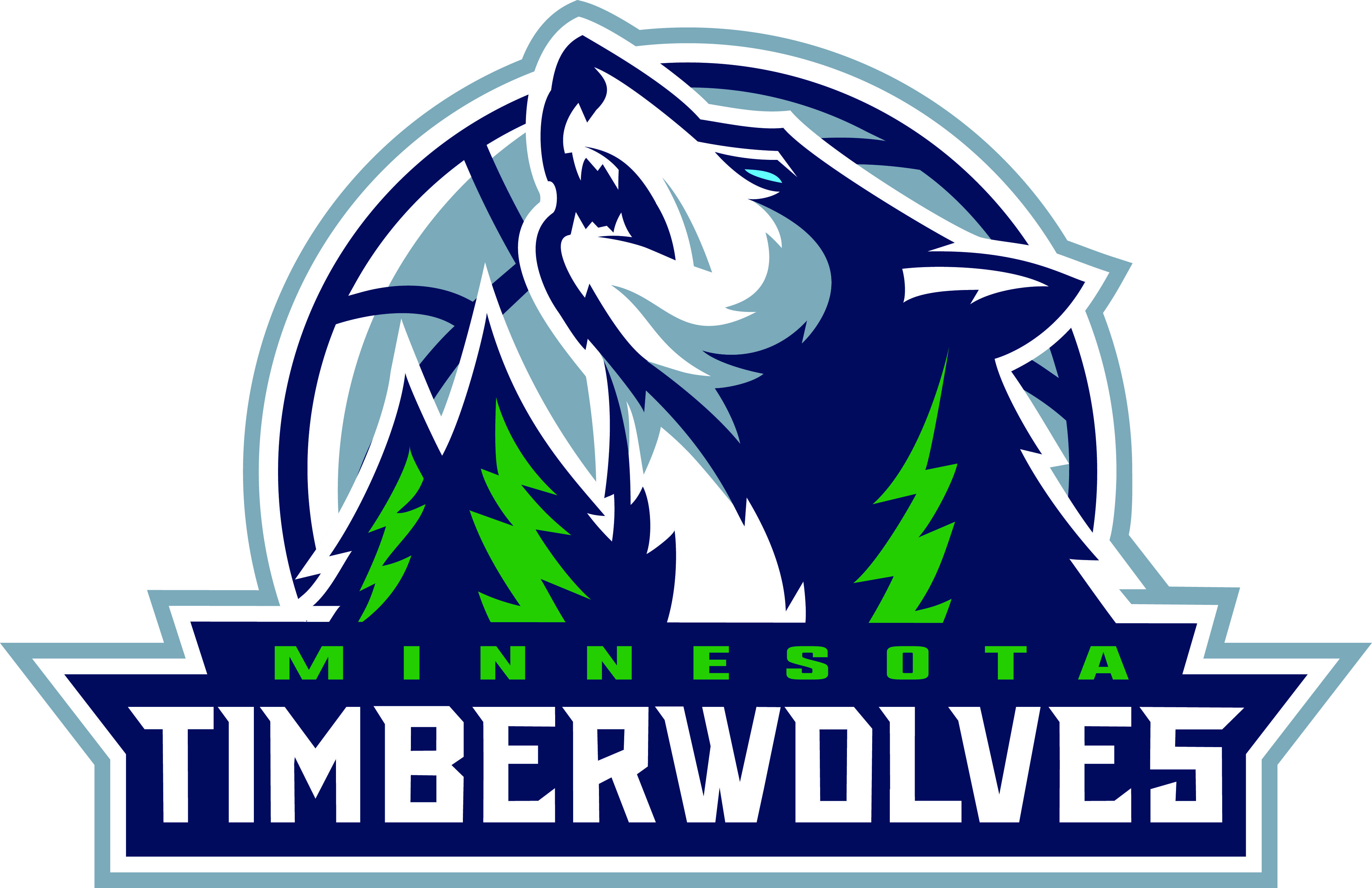 minnesota timberwolves