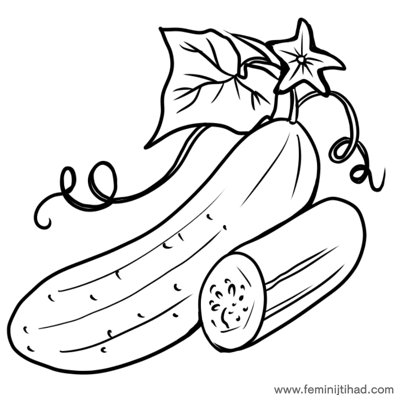 cucumber with leaf coloring pages