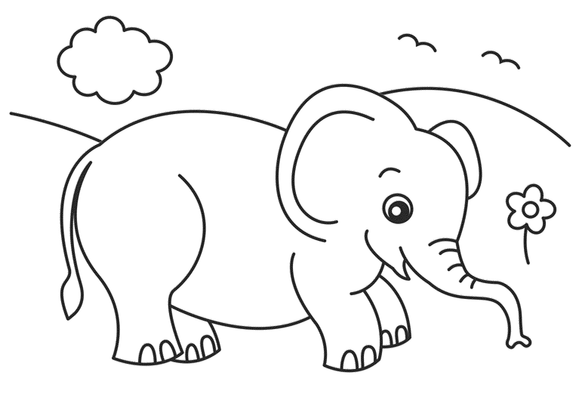 cute baby elephant coloring pages