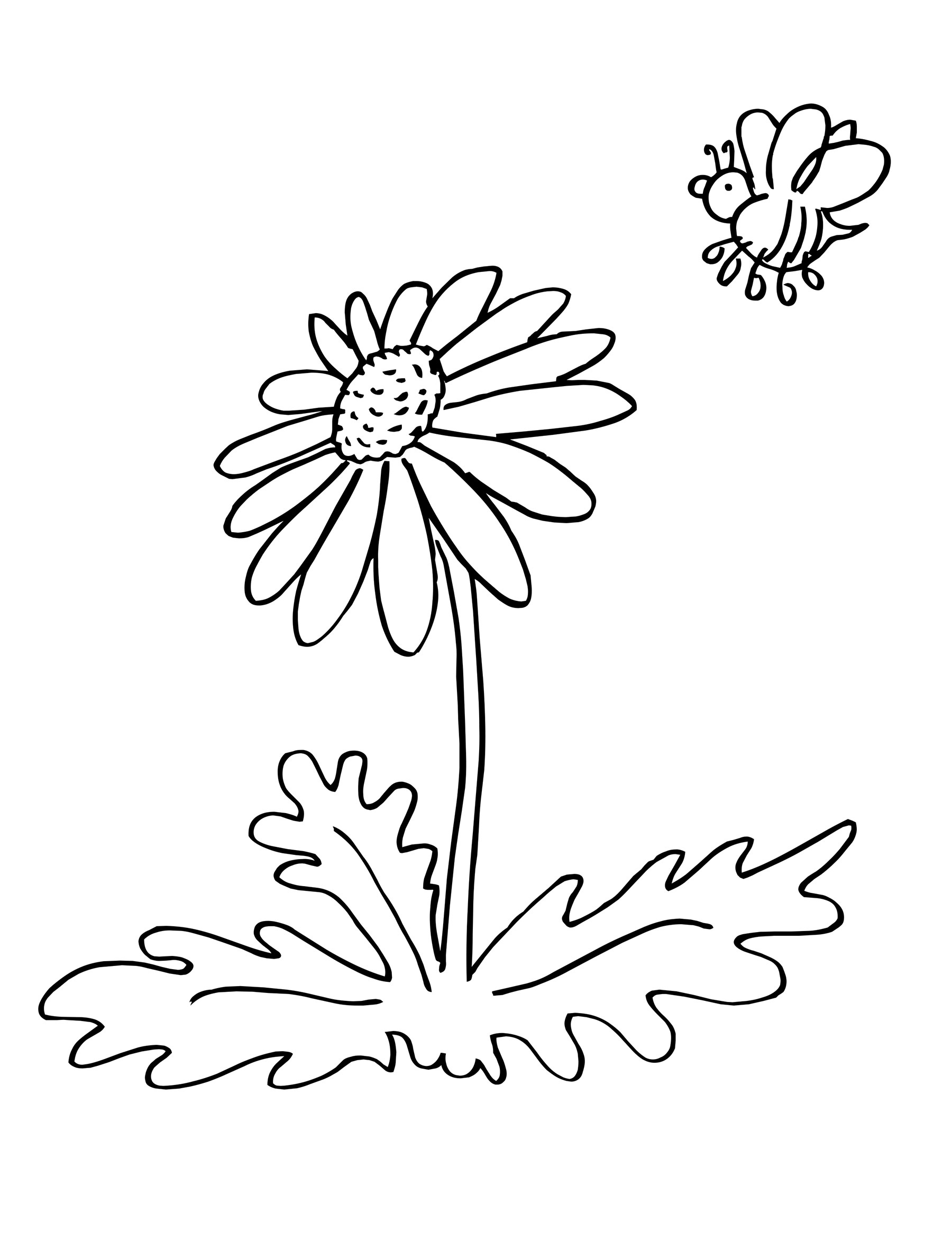 daisy flower garden journey coloring pages