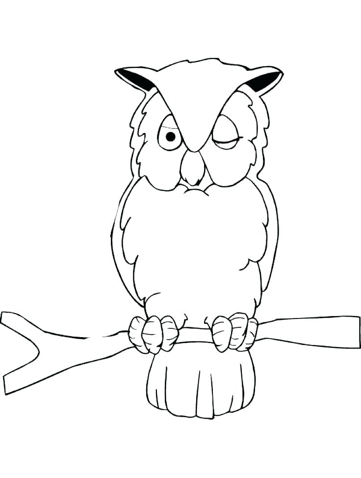 cute owl printable coloring pages